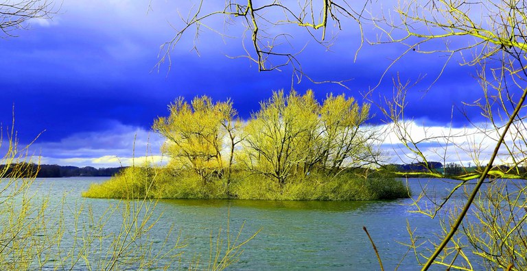Ploener See Ploener See